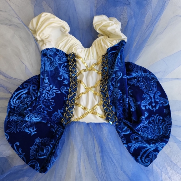A Wish Come True Blue Ballet Dance Costume MC - Picture 4 of 7